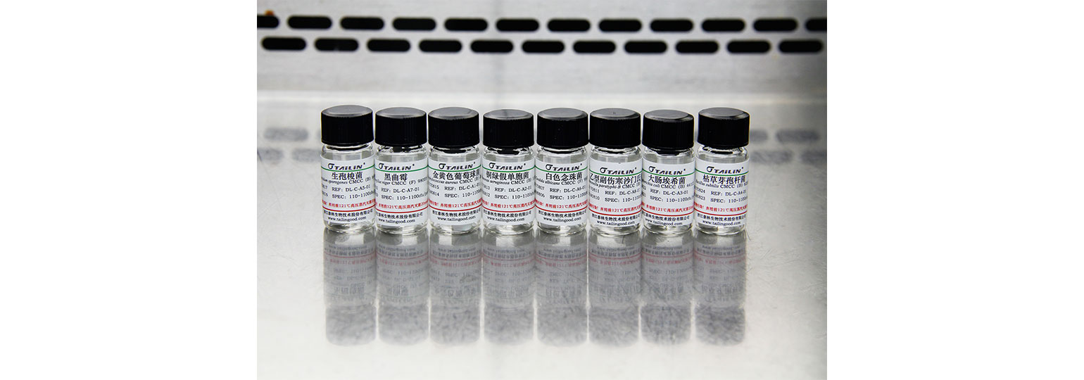 �ʿؾ��꣨����/���ԣ�