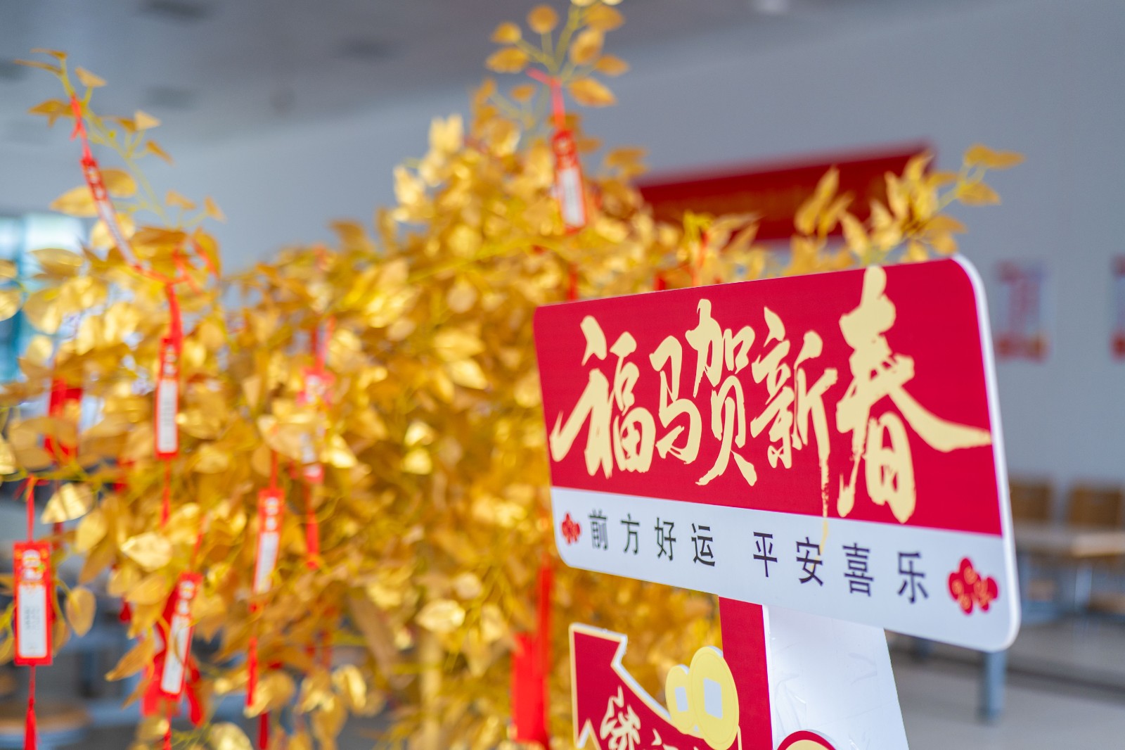 1772526205810439BR04.jpg ×ÖÃÕ3.jpg