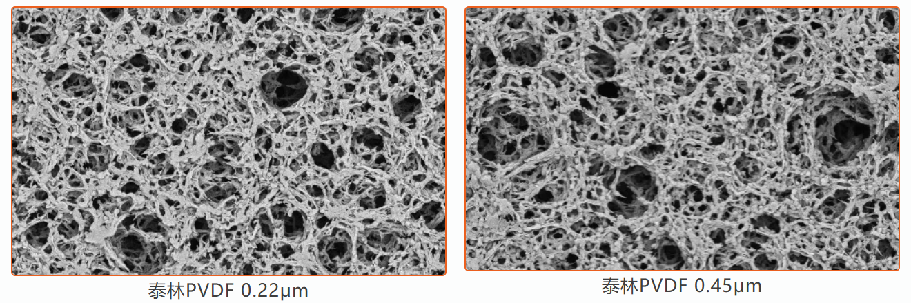 1772605236601622TAXH.png ͼƬ3.png