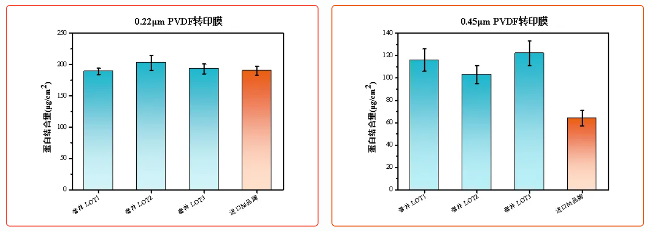 1772605260512716k80O.png ͼƬ5.png