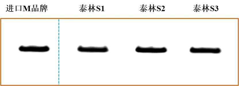 1772605271553302iK7C.png ͼƬ6.png