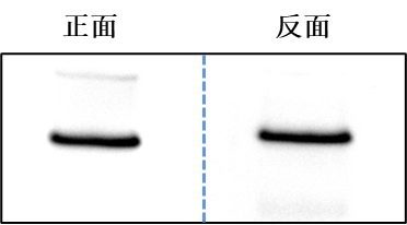 1772605291819701K94N.png ͼƬ8.png